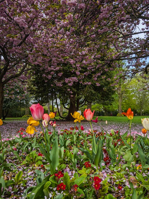 A vibrant floral display featuring a variety of blooming flowers including pink tulips, yellow and orange poppies, and small red primroses in the foreground, arranged in a lush garden setting. The flo